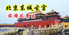 看骚B搞B视频中国北京-东城古宫旅游风景区